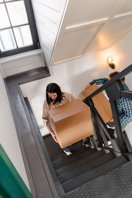 View from above of two individuals carrying moving boxes and a potted plant down a staircase in a residential property. The first person, a young man wearing a plaid shirt, is holding a potted plant w